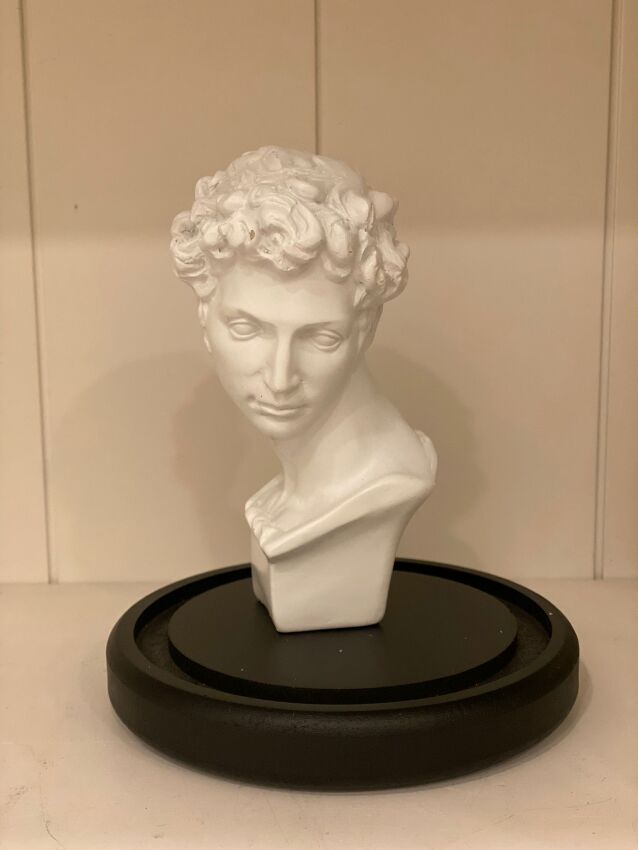 David Büst - 1