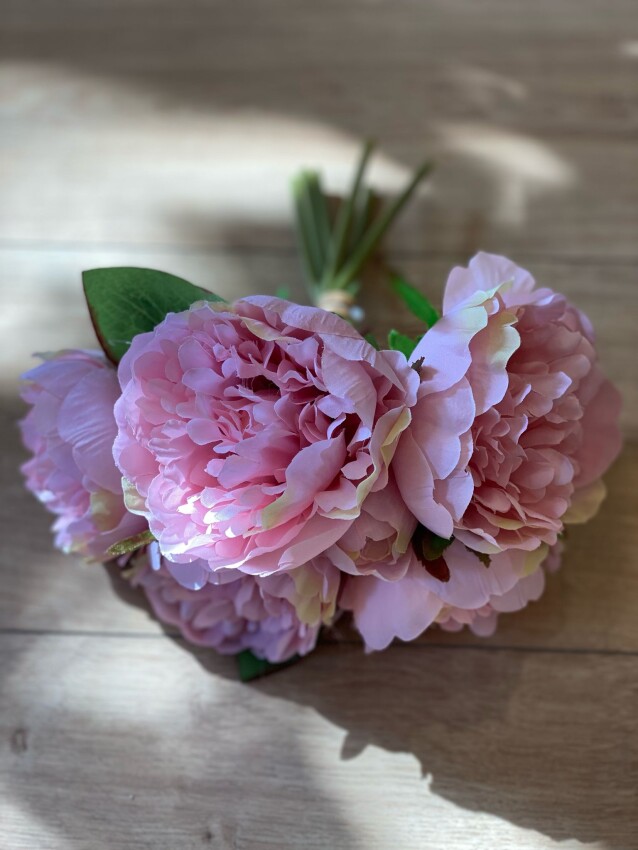 İthal 1. Kalite Pembe Açmış Şakayık - 4
