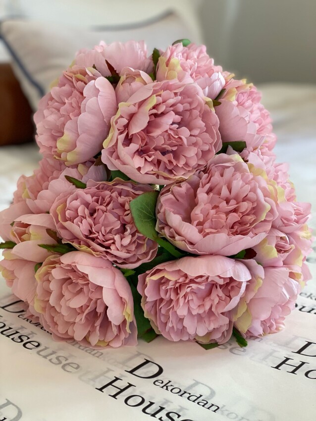 İthal 1. Kalite Pembe Açmış Şakayık - 1
