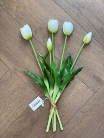 Premium 1.Kalite Beyaz Lale Demeti - 1