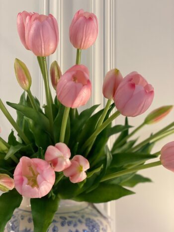 Premium 1.Kalite Pembe Lale Demeti - 3