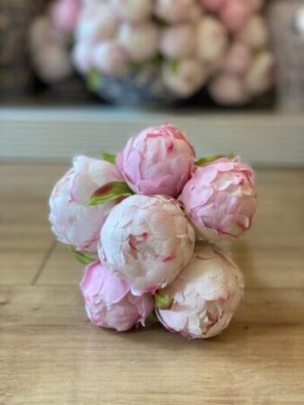 Premium 1.Kalite Pembe Şakayık - 7