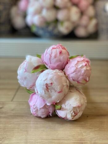 Premium 1.Kalite Pembe Şakayık - 7