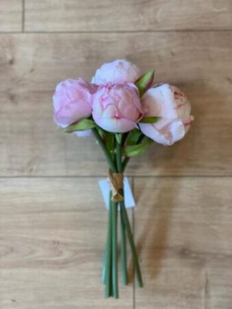 Premium 1.Kalite Pembe Şakayık - 8