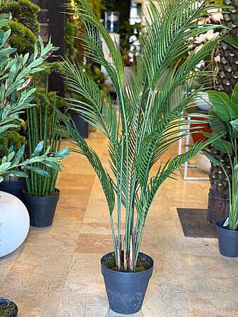 Yapay 1.Kalite Areka Ağacı (170cm)
